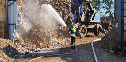 Wyrzucił z pociągu niedopałek papierosa. Pożar gasiło 70 strażaków