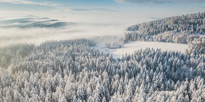 Piękna polska zima – góry, Mazury czy Pomorze? Gdzie udać się na ferie?