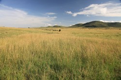 Minister prosi rolników: Nie wypalajcie traw