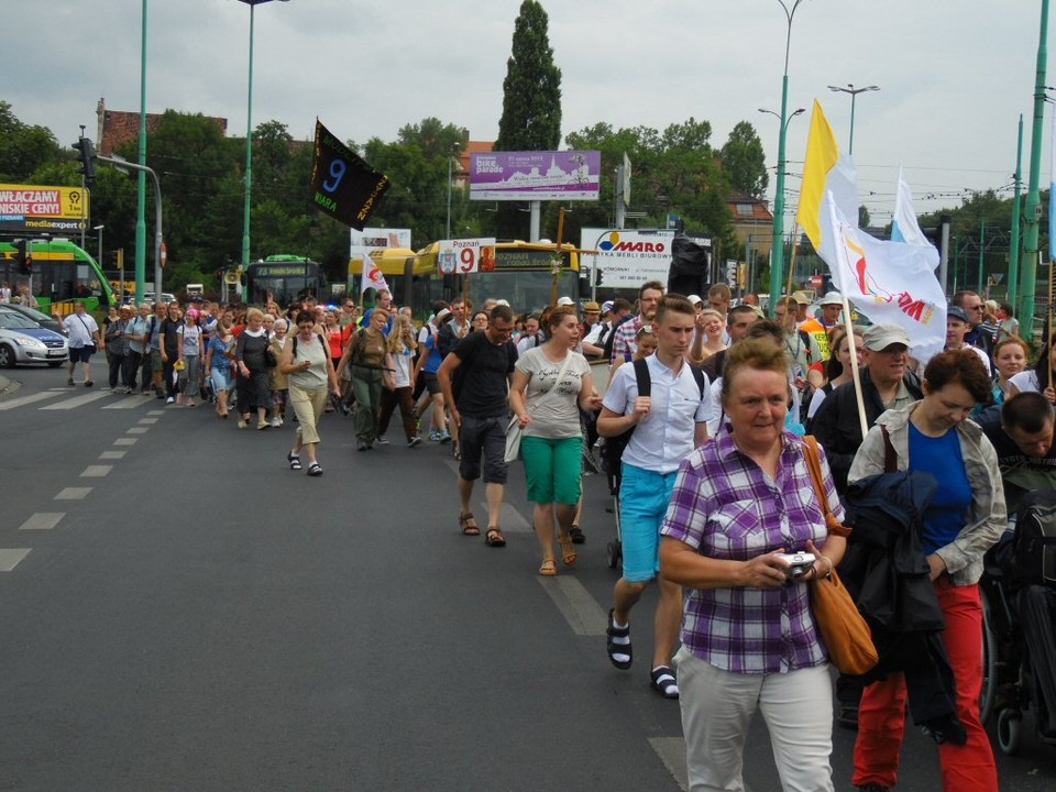 Fot. Janusz Ludwiczak 20