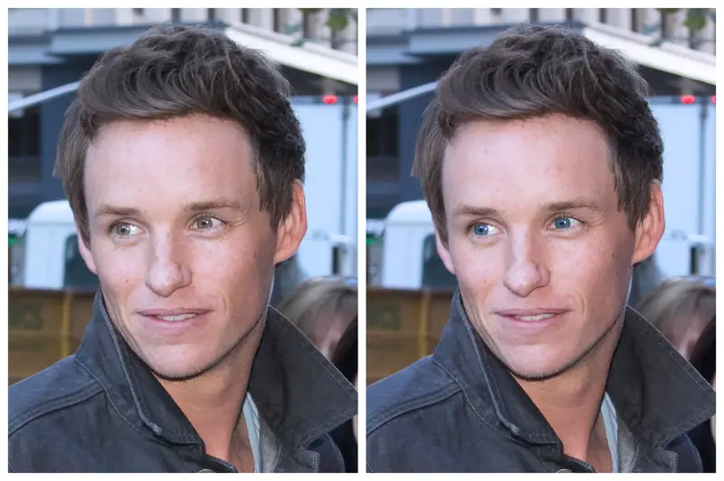 EDDIE REDMAYNE