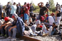 Starcia na granicy Słowenii z Chorwacją. Policja zablokowała przemarsz imigrantów