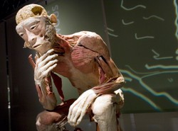 Prezesi Trybunału krytykują wystawę zwłok