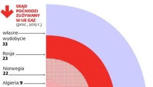 Skąd pochodzi zużywany w UE gaz?