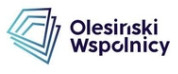 Olesiński i Wspólnicy logo