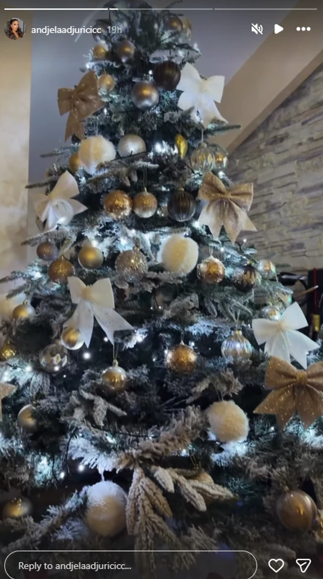 ZAVIRITE U DOM ANĐELE I GASTOZA: Bivša zadrugarka pokazala ogromnu jelku, poseban kutak imaju IKONE I SLIKE (FOTO)