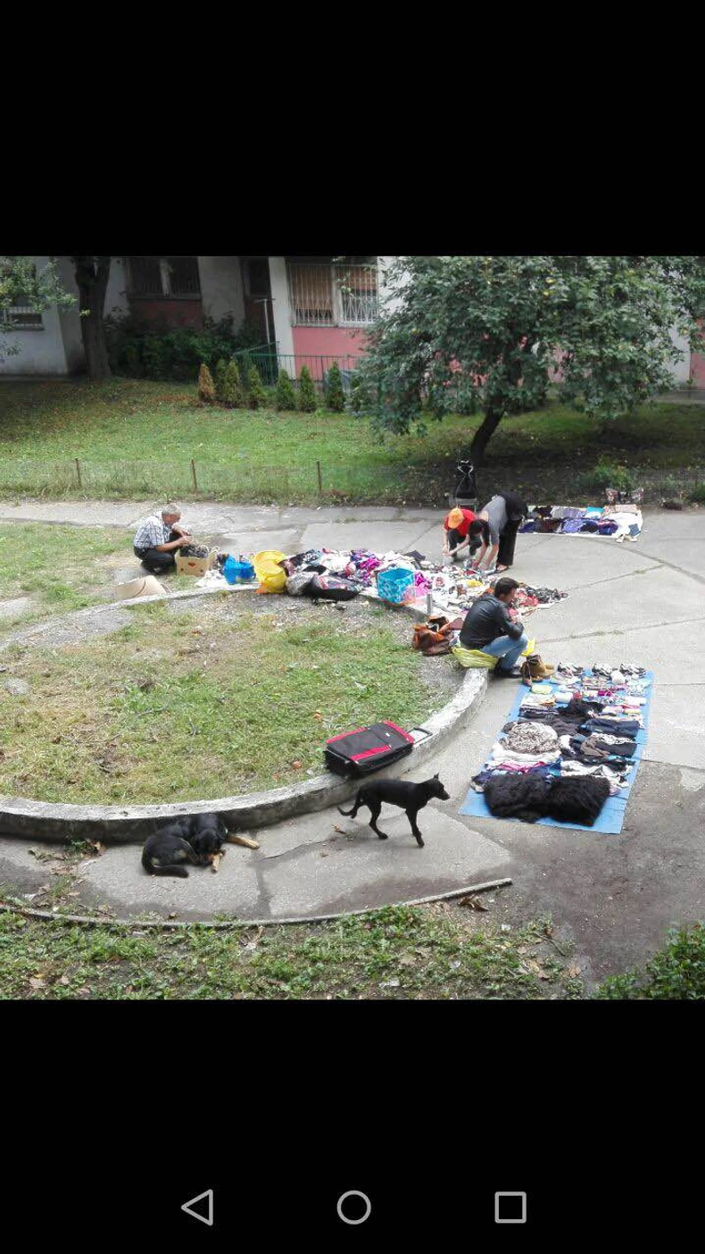 Ilegalni prodavci u Borči