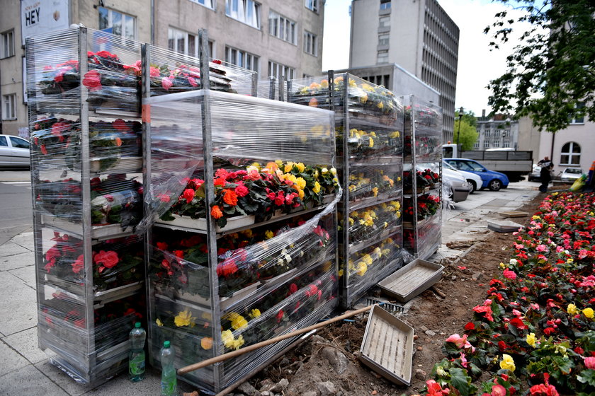 Pod urzędem miasta będą rosnąć nowe kwiaty