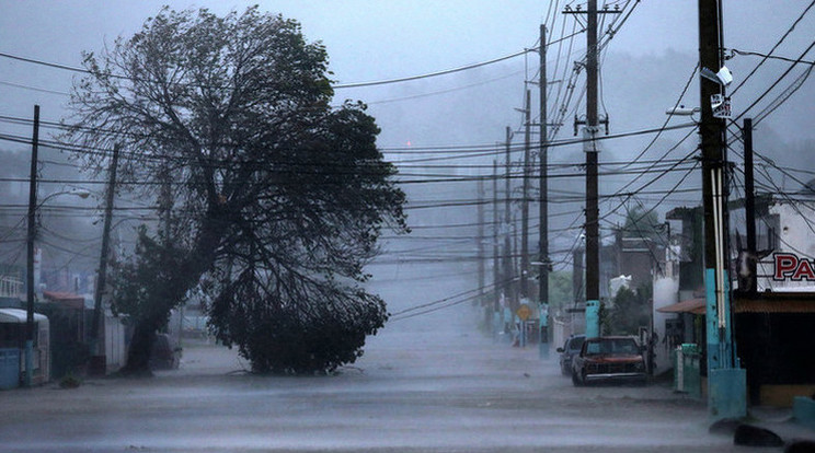 Erős viharokat okozhatnak hazánkban az Egyesült Államokban lecsapott hurrikánok a jövő hét elején / Fotó: Europress-Getty Images
