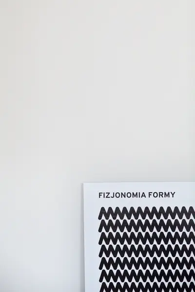 Fizjonomia formy, fot. moiz.eu