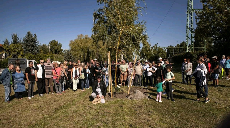 Fát ültettek az elhunyt Mihály Tamás, az Omega egykori basszusgitárosa emlékére 