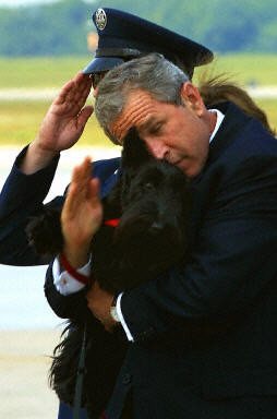 Wszystkie psy prezydenta / 11.jpg