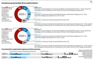 Struktura przychodów firm audytorskich