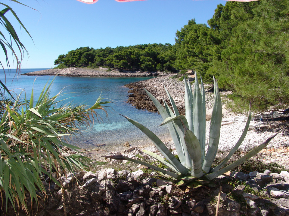 Lošinj - jedna z najbardziej zielonych wysp Chorwacji