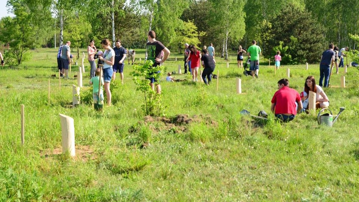 Podczas weekendu, o okolicach uroczyska Lublinek posadzone zostały pierwsze drzewa, które upamiętniły narodziny najmłodszych łodzian. Kilkadziesiąt rodzin zdecydowało się wziąć udział w akcji.