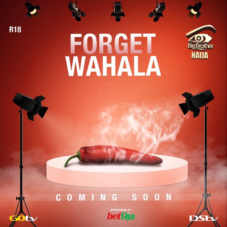 Big Brother Naija season 4 has been rumoured to be themed 'Forget Wahala.' [Twitter/Big Brother Naija] 