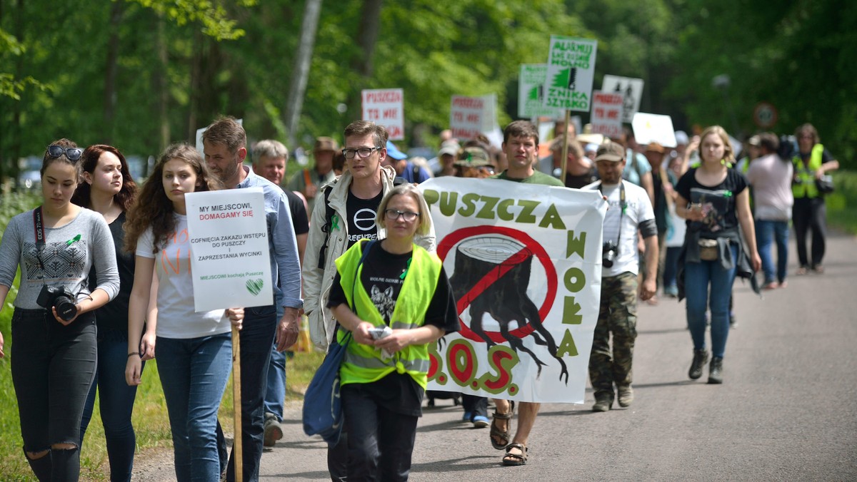 Czy Puszcza Białowieska zostanie wpisana na Listę Światowego Dziedzictwa w Zagrożeniu? Taka decyzja może zapaść już na lipcowej sesji Komitetu UNESCO w Krakowie. Opublikowana została robocza wersja dokumentu w tej sprawie. Ministerstwo środowiska zapewnia, że jego działania wynikają z wykonywania prawa europejskiego. Ekolodzy uważają, że minister Szyszko "ratuje" puszczę przez jej dewastację.