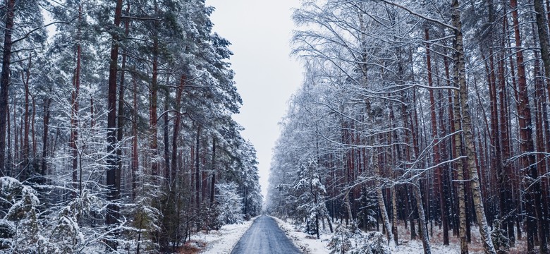 Uwaga na śliskie drogi! Prognoza pogody na niedzielę, 30 listopada
