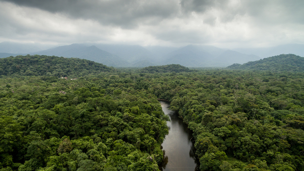 Rodzina zaginęła w amazońskiej dżungli. Odnaleziono ich po 34 dniach