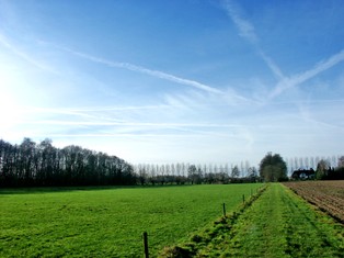 Ziemia dla rolników jest coraz droższa