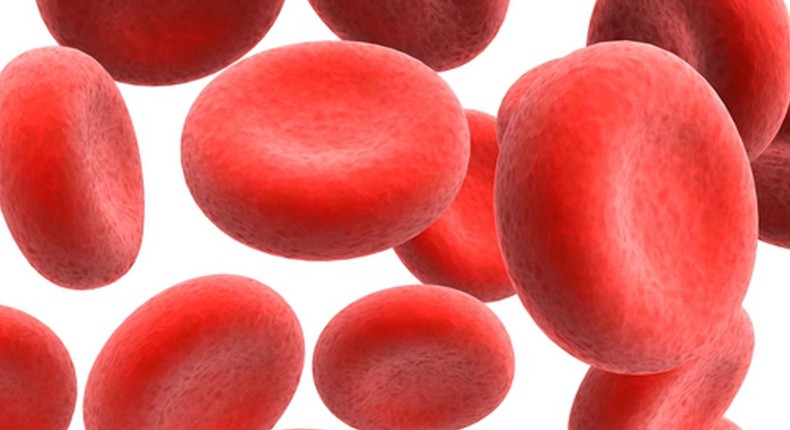 Anaemia: Nigerian foods that can increase red blood cells