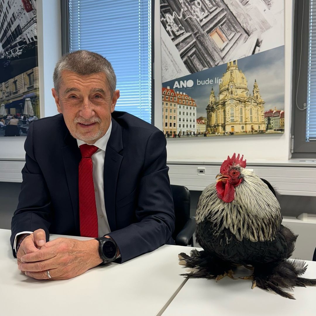 Český politik Andrej Babiš.