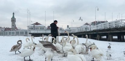 Góry to nie wszystko! Tu unikniesz tłumu podczas ferii