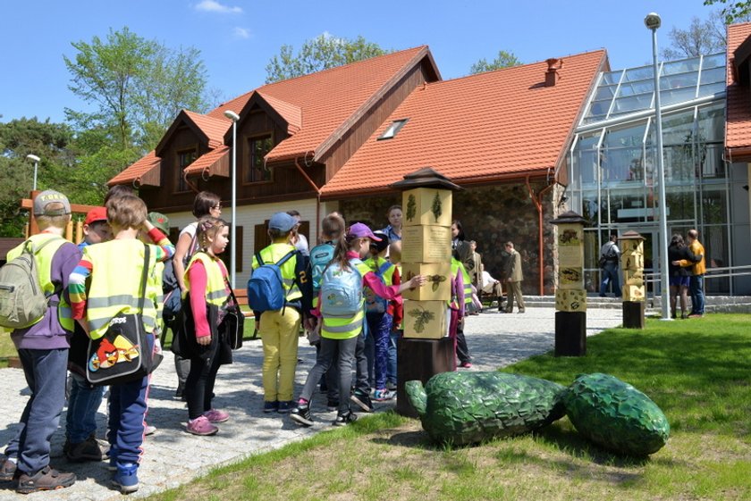 Lato dla rodziców i ich dzieci 