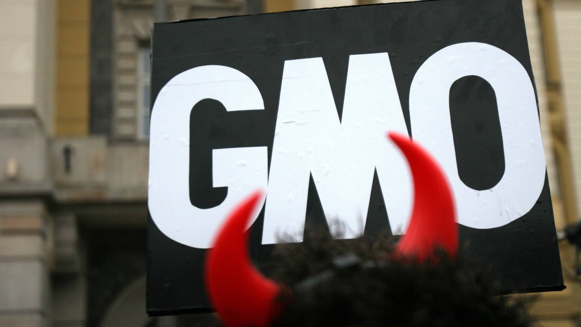 "Genetyczne mutanty" z GMO, szczepionki i gluten. Fakty i wiedza nie mają szans z bredniami