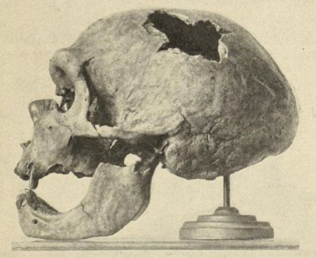 Neandertálec s menom Starec z La Chapelle.