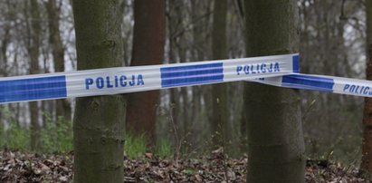 Znaleźli Mateusza w lesie. Policjanci są wstrząśnięci