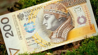 Jak obliczyć podatek leśny?