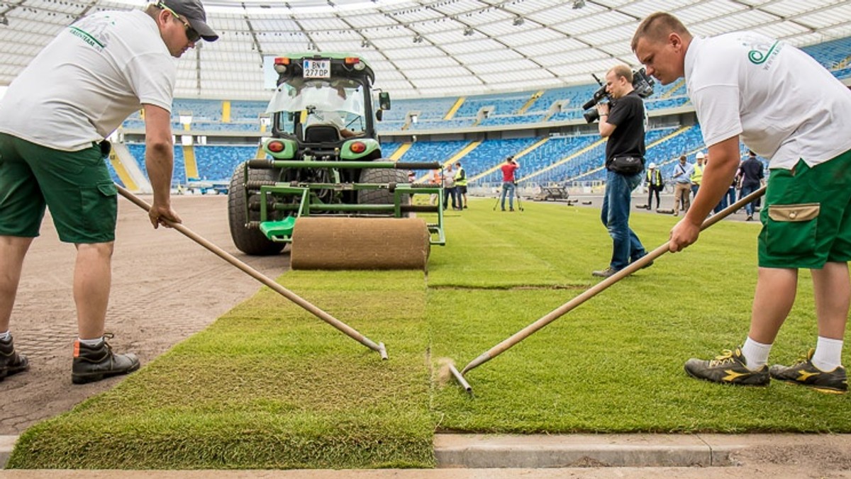 Na płycie Stadionu Śląskiego rozpoczęto dziś układanie murawy. Trawa została przetransportowana tirami z Węgier, gdzie została wybrana na plantacji pod Budapesztem. Proces jej układania potrwa trzy dni, po nim w Kotle Czarownic rozpocznie się montaż bieżni lekkoatletycznej.