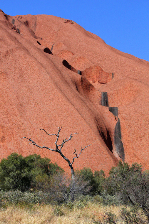 U podstawy Ayers Rock (Uluru)