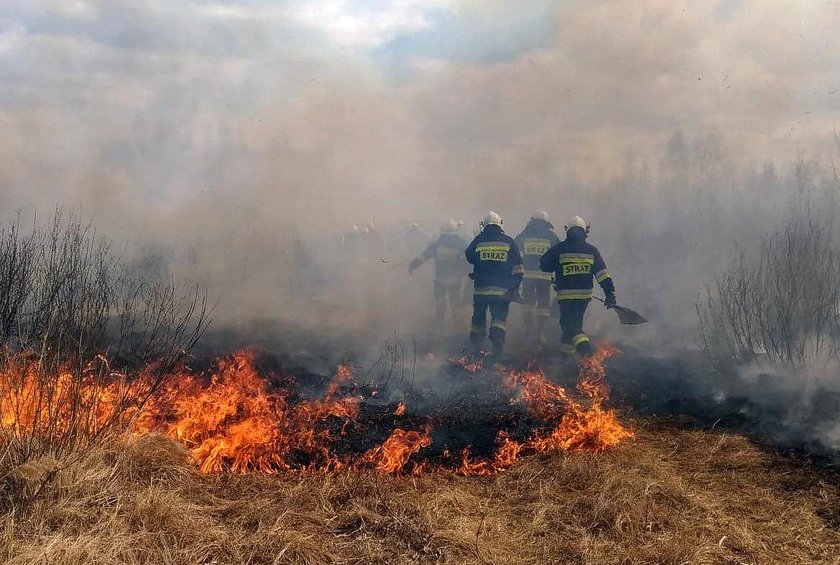 Pożar w Biebrzańskim Parku Narodowym