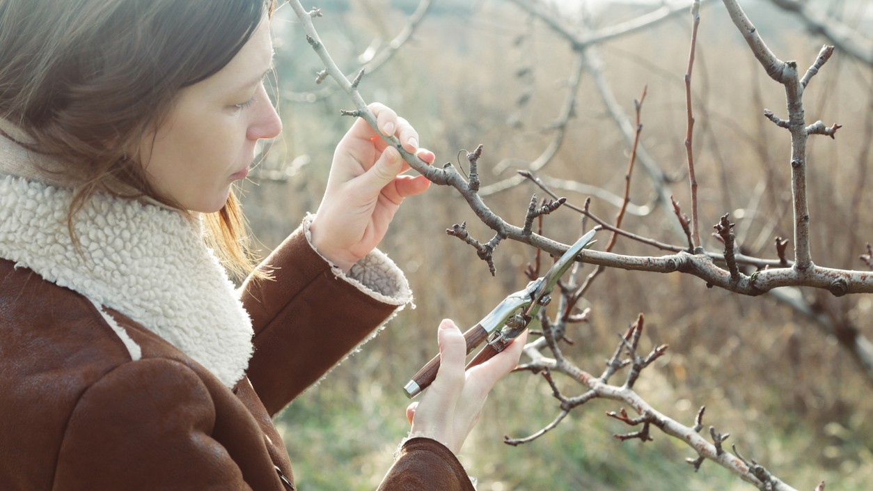 Aj v zime si záhrada vyžaduje našu pozornosť.