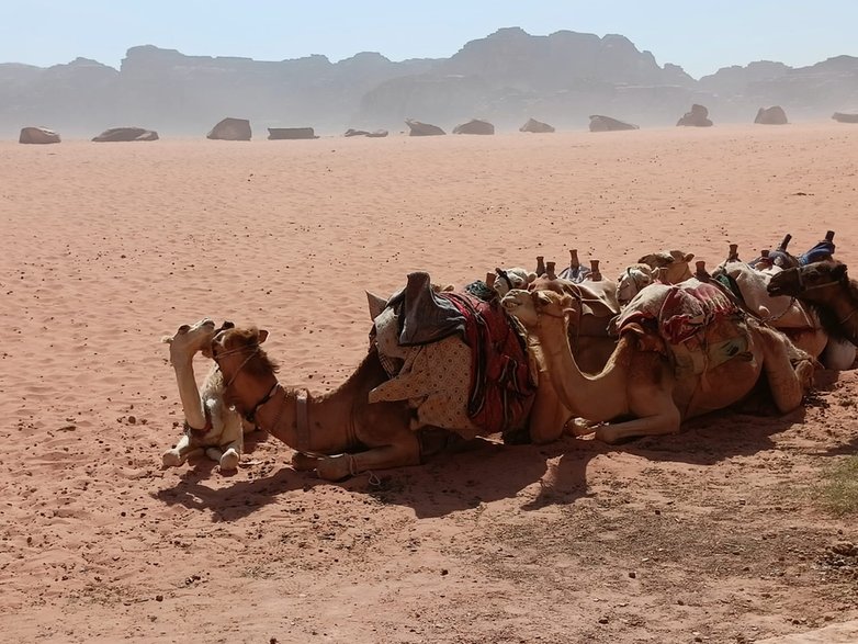 Wadi Rum Jordania