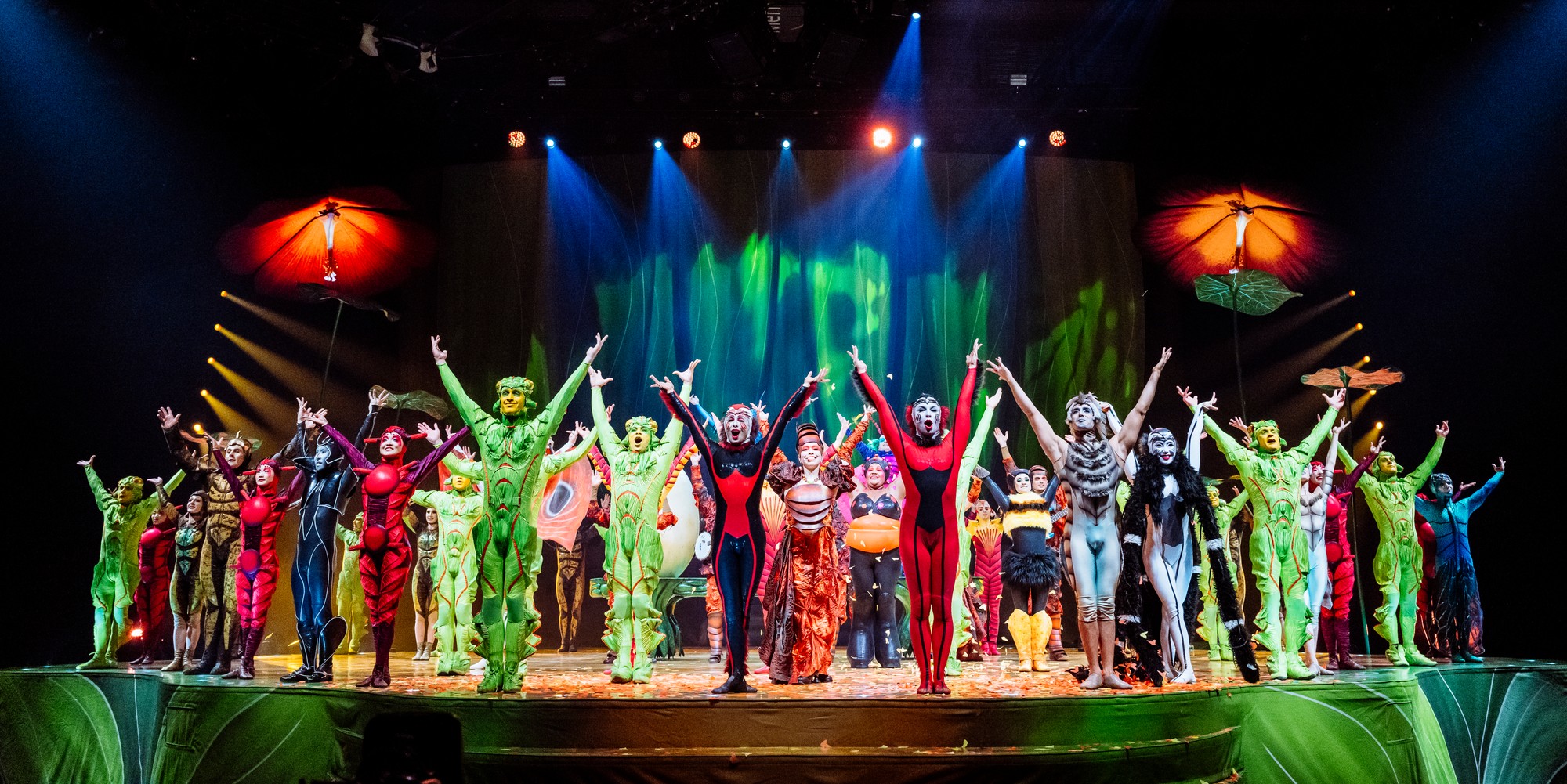CIRQUE DU SOLEIL – OVO