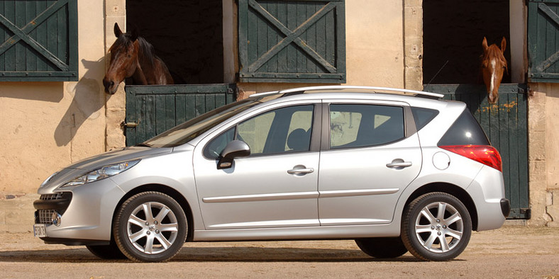 Sprzedaż w Europie 2008: Peugeot liderem w klasie małych samochodów
