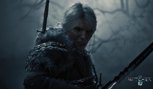 The Witcher 4