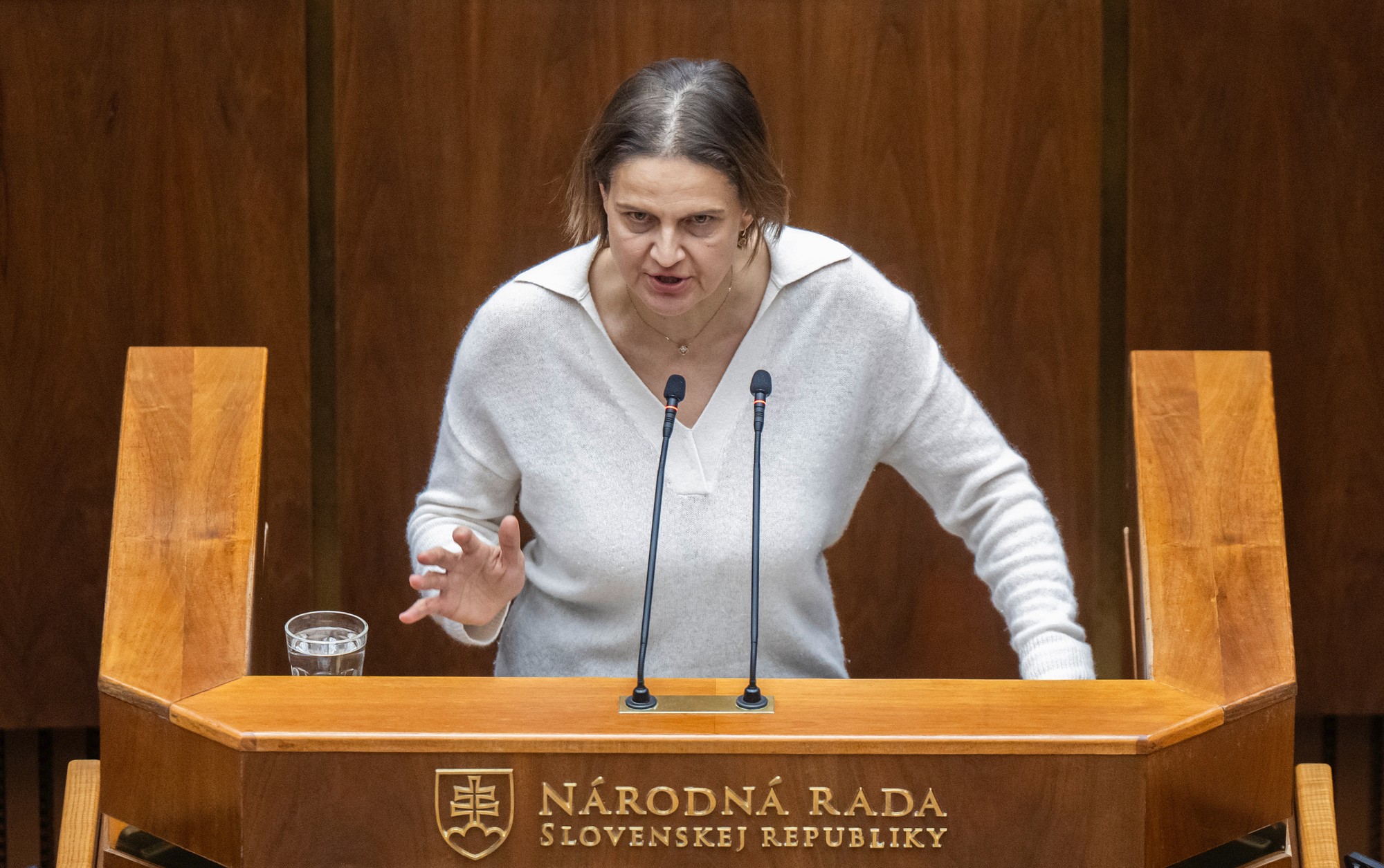 Poslankyňa parlamentu SR Mária Kolíková (SaS).
