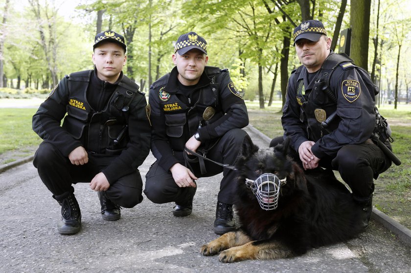 Katowice. Miasto walczy z psimi kupami. Kolejna edycja akcji Zbierzmy się do kupy