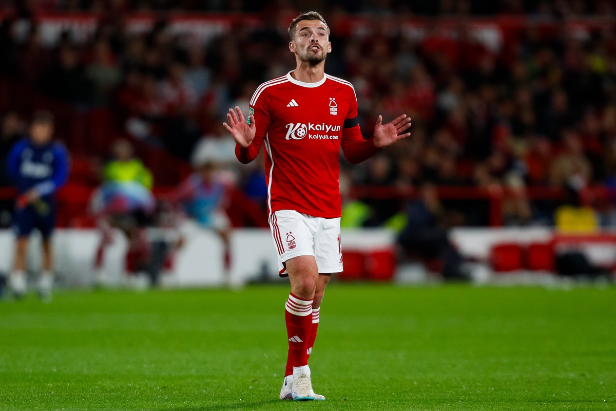 Harry Toffolo