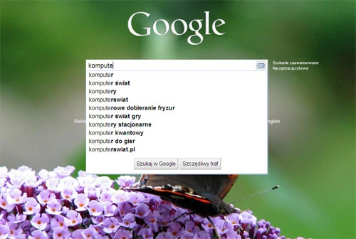 W ciągu 48 godzin Google Instant będzie dostępne także w polskiej domenie wyszukiwarki