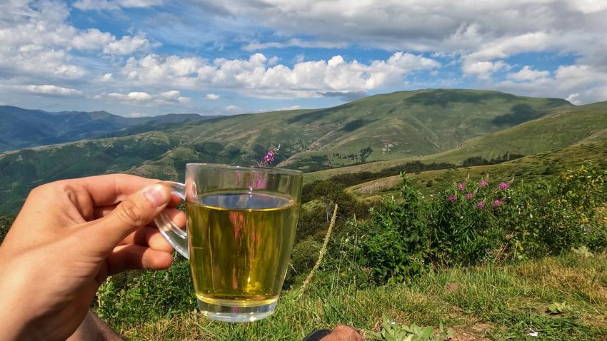 méregtelenítés, szab gyuri bácsi, tea, gyógynövény