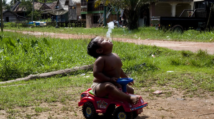Az iskola sztárjává vált a cigarettafüggőségéről elhíresült indonéz kisfiú / Fotó: Northfoto