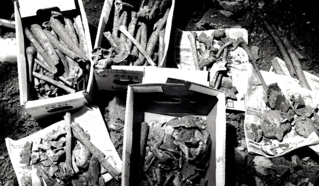 Mersed je razdvojila iskopane posmrtne ostatke u kutije | Foto: IPN