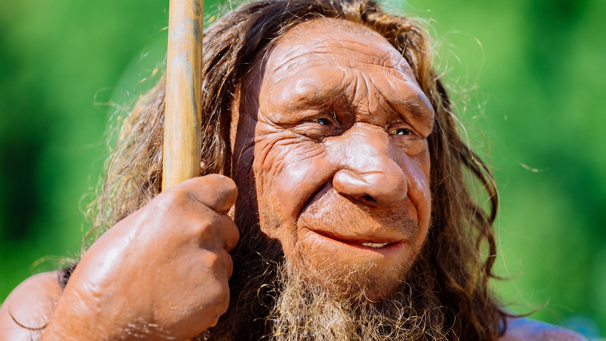 Ön mennyit tud a neandervölgyi emberről? Tesztelje tudását kvízünkkel