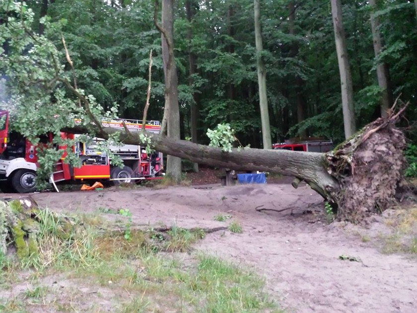 Prawie 400 interwencji po nocnej burzy nad Wielkopolską