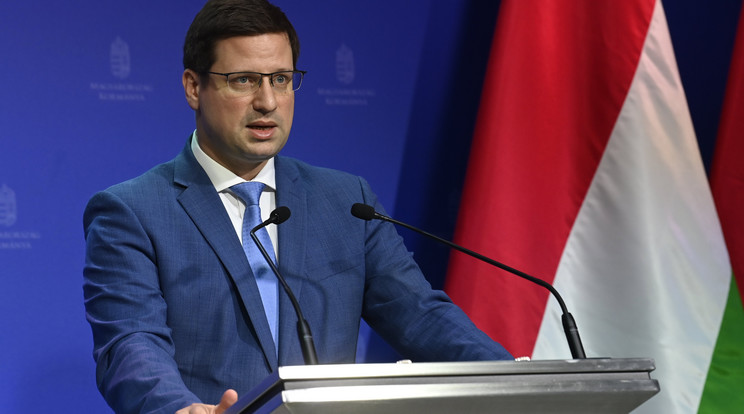 Gulyás Gergely Miniszterelnökséget vezető miniszter / Fotó: MTI/Kovács Tamás